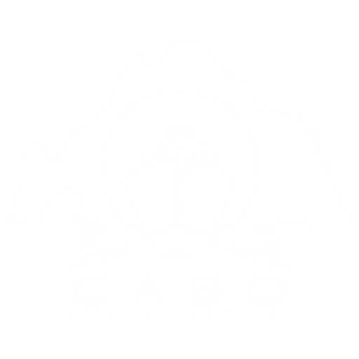 https://caboboatadventures.com/wp-content/uploads/2025/05/cropped-Logo.png