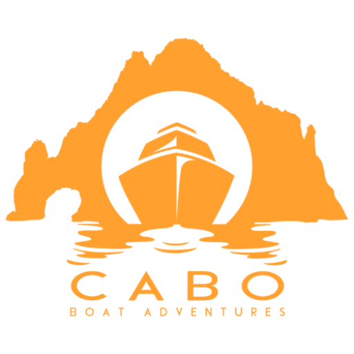 https://caboboatadventures.com/wp-content/uploads/2025/05/cropped-orangelogo.png