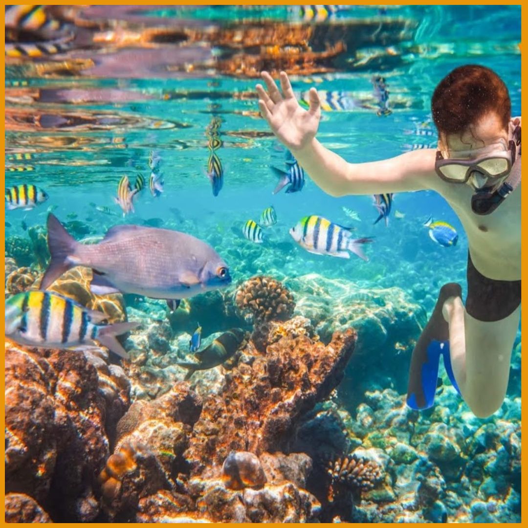 Person snorkeling