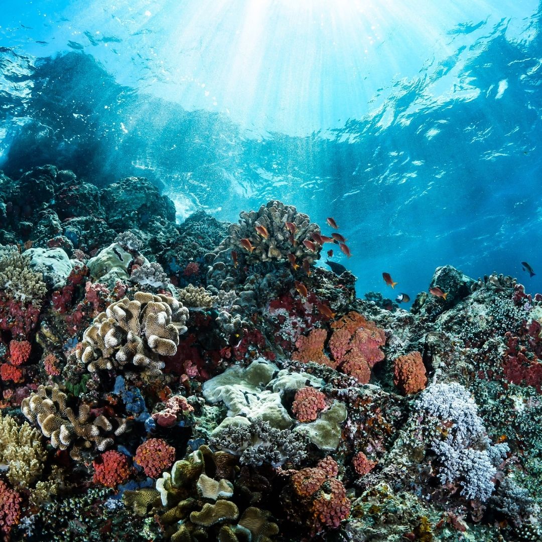 under the ocean
