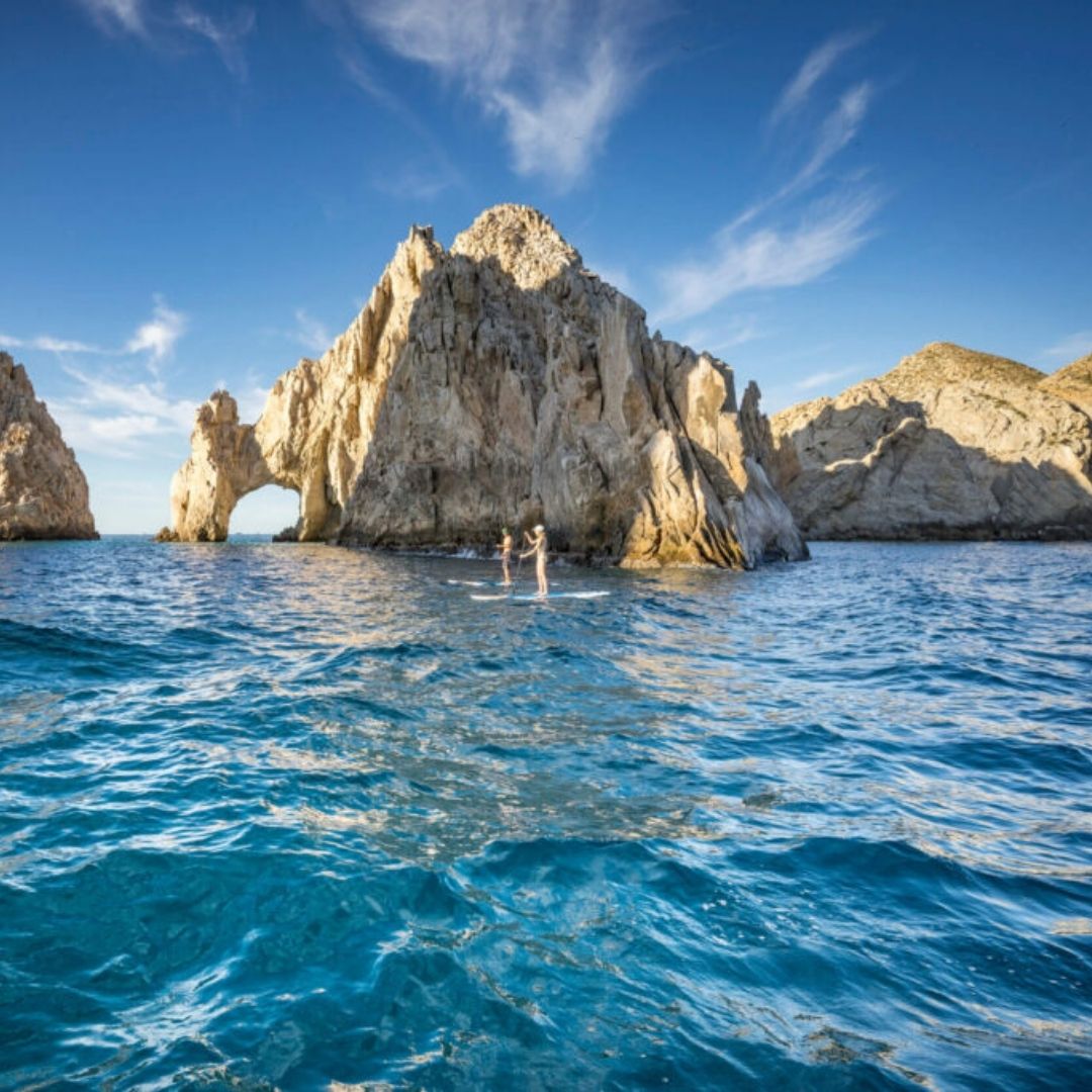 people on paddle boards