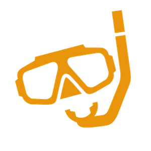 snorkeling gear