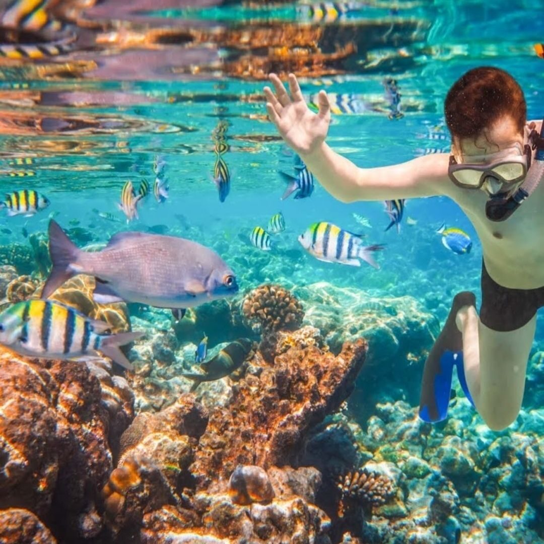 snorkeling